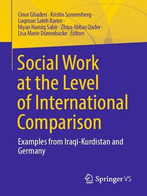 cover image of Social Work at the Level of International Comparison